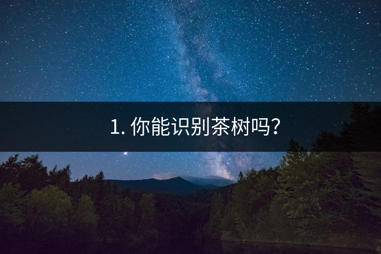 ??1. 你能識別茶樹嗎？