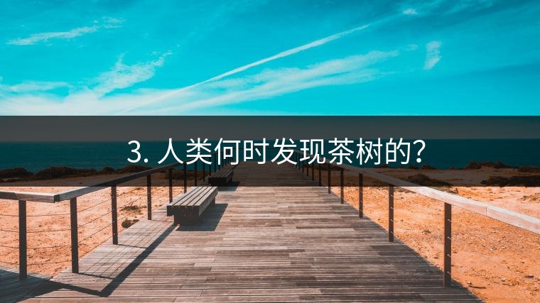 ? 3. 人類何時發(fā)現(xiàn)茶樹的？