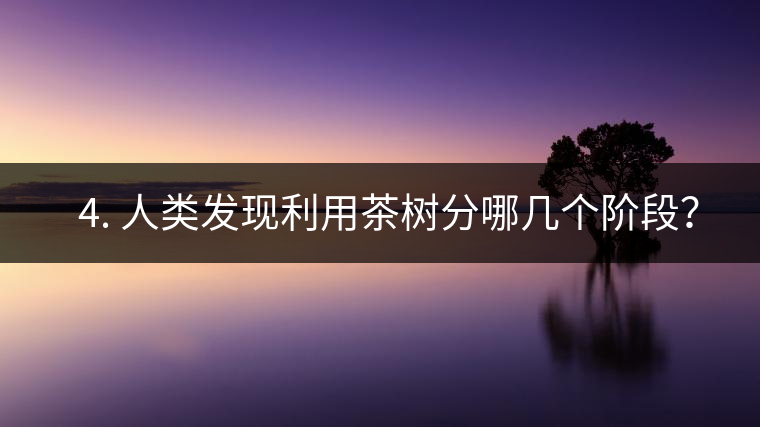 ? 4. 人類發(fā)現(xiàn)利用茶樹分哪幾個階段？