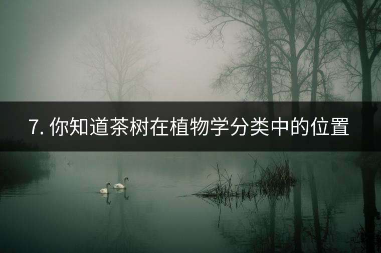 ??7. 你知道茶樹在植物學(xué)分類中的位置嗎？