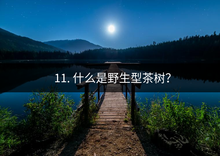 ? 11. 什么是野生型茶樹？