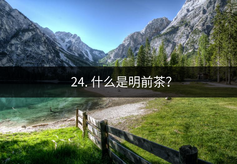 ? 24. 什么是明前茶？