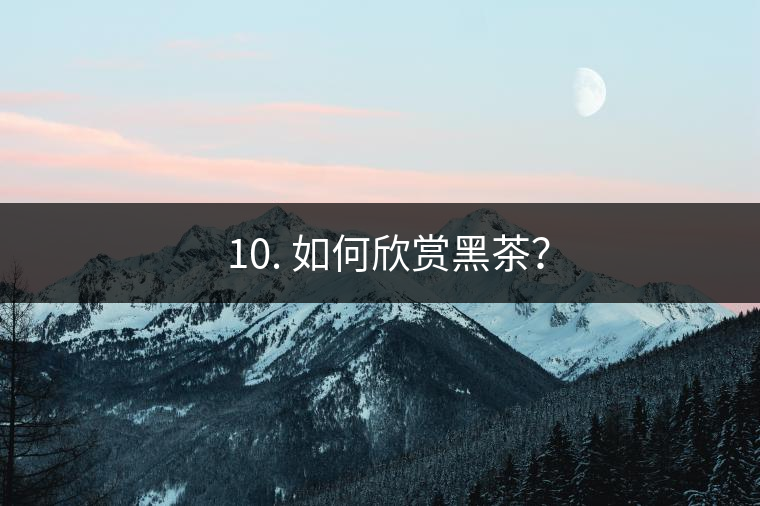 ? 10. 如何欣賞黑茶？