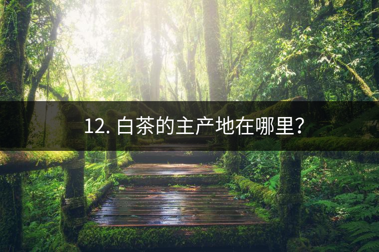 ? 12. 白茶的主產(chǎn)地在哪里？