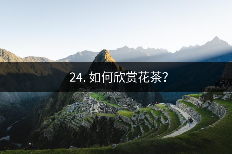 ? 24. 如何欣賞花茶？