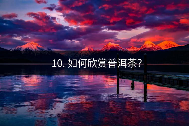 ? 10. 如何欣賞普洱茶？