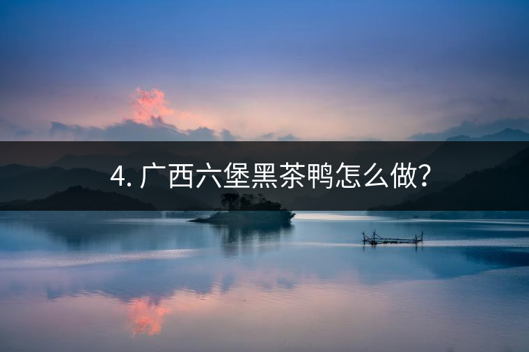 ? 4. 廣西六堡黑茶鴨怎么做？