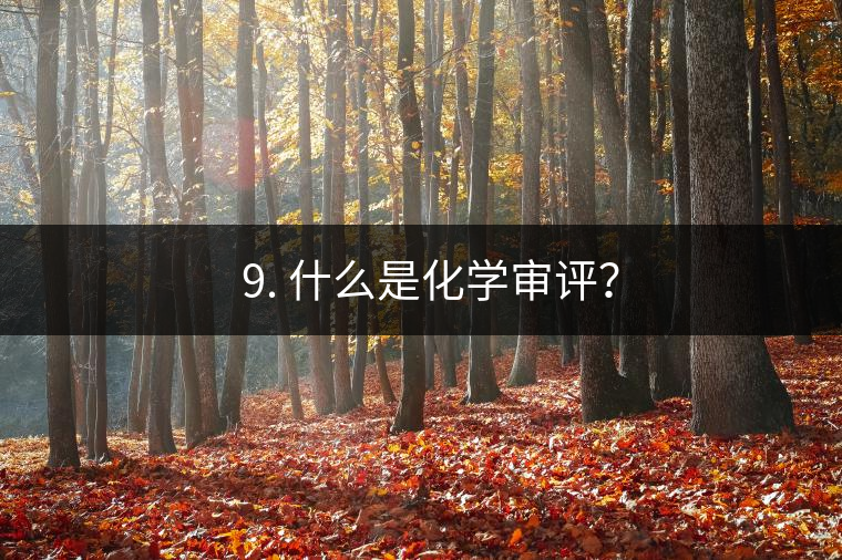 ? 9. 什么是化學(xué)審評？