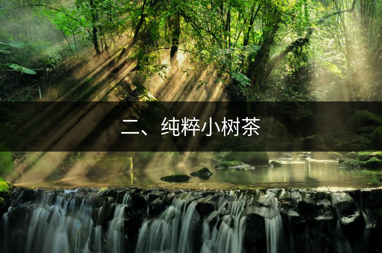 二、純粹小樹茶