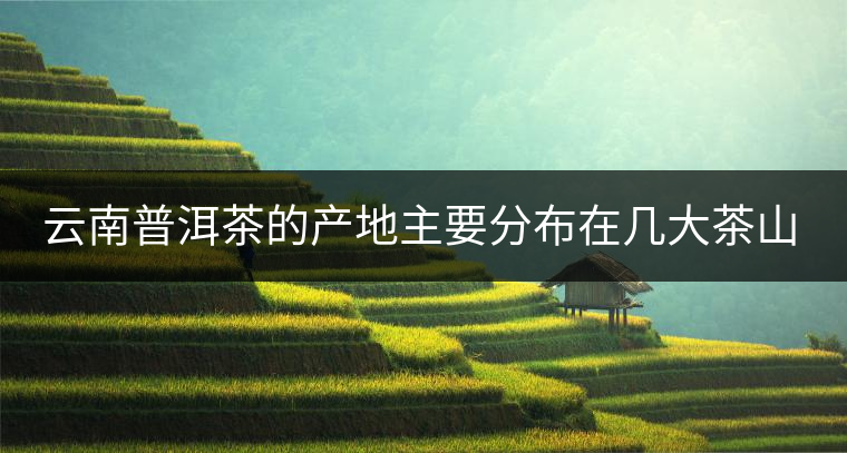 云南普洱茶的產(chǎn)地主要分布在幾大茶山，普洱茶古茶山以瀾滄江為界劃分為