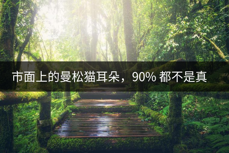 市面上的曼松貓耳朵，90% 都不是真的