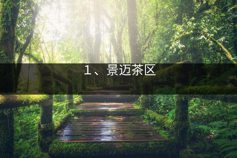 １、景邁茶區(qū)
?