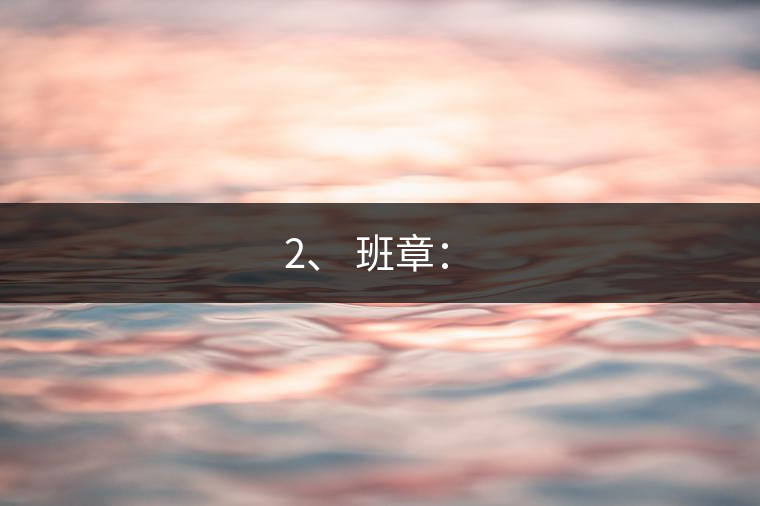 2、 班章：?