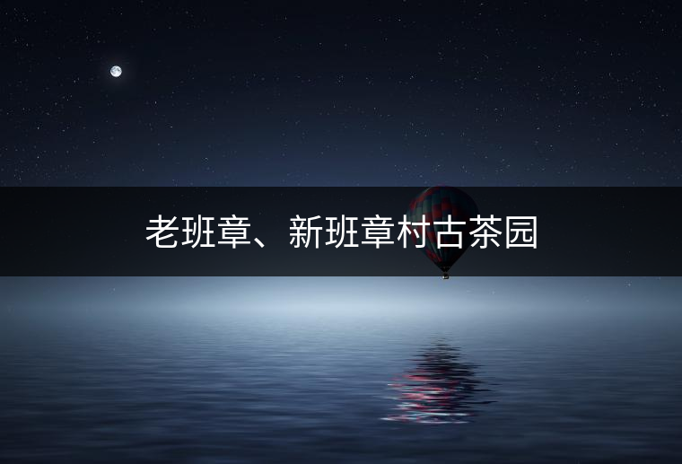 老班章、新班章村古茶園