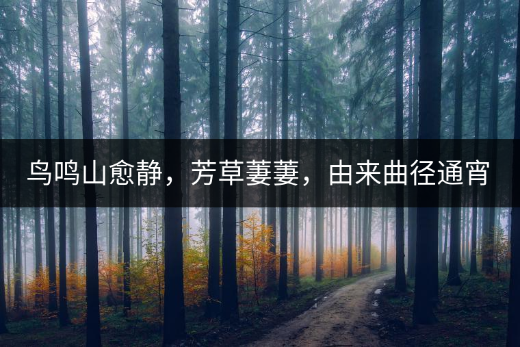鳥(niǎo)鳴山愈靜，芳草萋萋，由來(lái)曲徑通宵漢。
