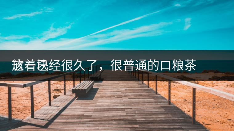 這一塊
放著已經(jīng)很久了，很普通的口糧茶，煙味很重，但回甘也可以，隨意喝喝吧。