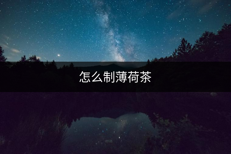 怎么制薄荷茶