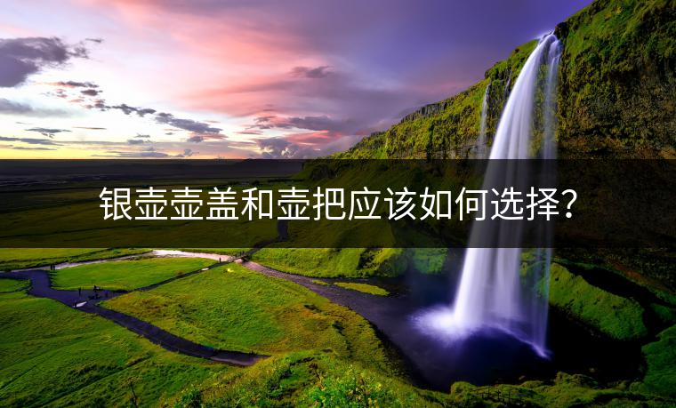 銀壺壺蓋和壺把應(yīng)該如何選擇？