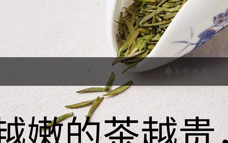 越嫩的茶越貴，但越貴的茶就越好嗎？-1