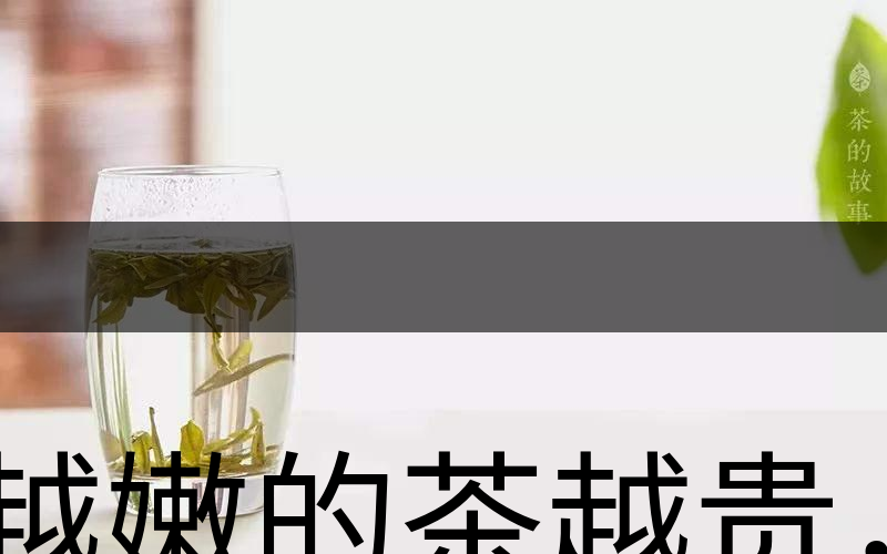 越嫩的茶越貴，但越貴的茶就越好嗎？-2