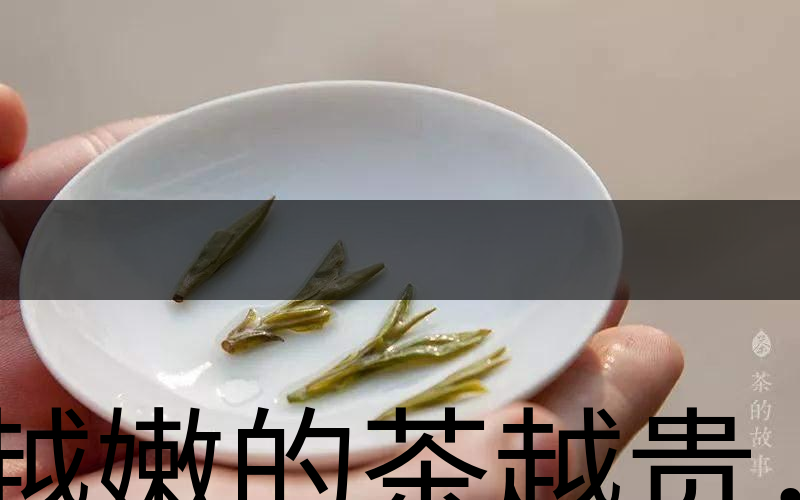 越嫩的茶越貴，但越貴的茶就越好嗎？-3