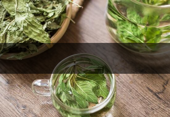 怎樣用薄荷炒茶葉