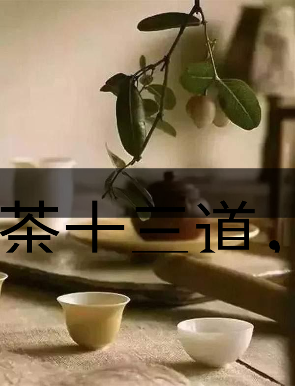 喝茶十三道，道道皆精華！-2