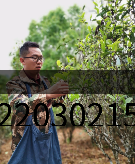 20220302154626549002