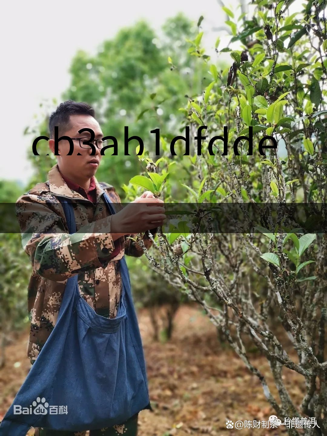 cb3ab1dfdde2114aa5dad24b830c6d96