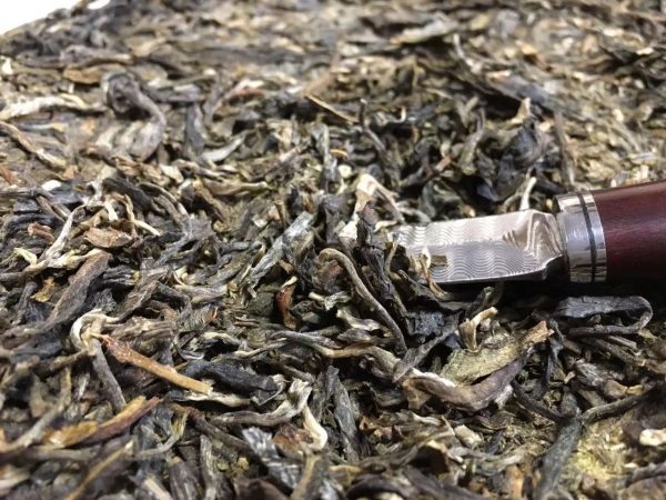 怎么樣泡好落水洞普洱茶？