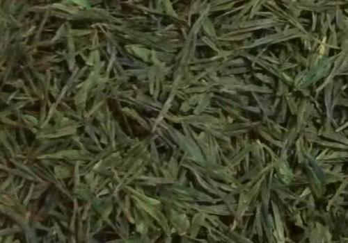 什么是海青茶？沖泡手法詳細(xì)教學(xué)！