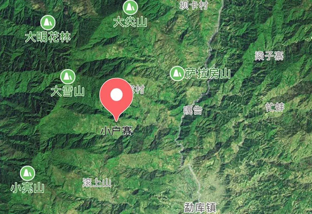 2021年小戶賽古樹秋茶有什么特點？