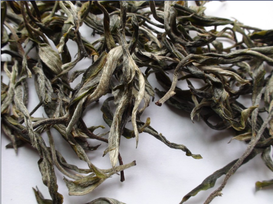 2021年馬鞍山古樹秋茶價(jià)格？