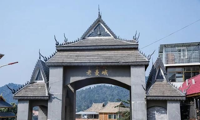 2021年老曼峨古樹秋茶特點(diǎn)？