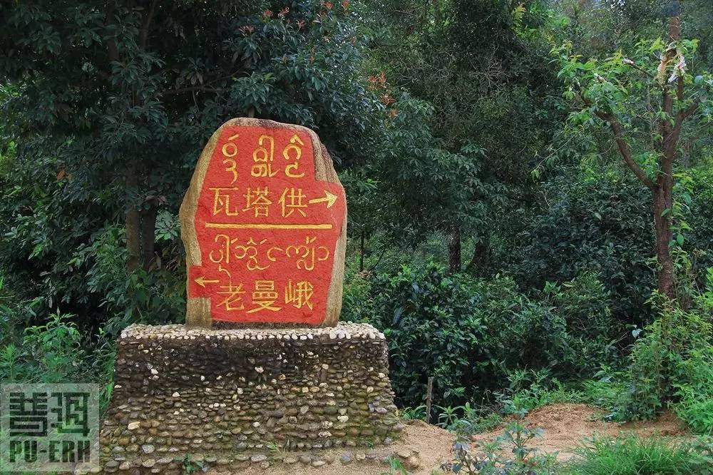 2021年老曼峨古樹(shù)秋茶價(jià)格多少？