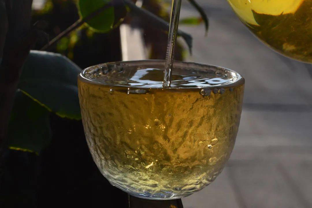 2021班章茶區(qū)壩卡竜古樹秋茶口感是什么？