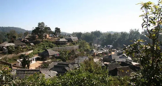 2021年班章茶區(qū)壩卡竜古樹秋茶多少錢一公斤？