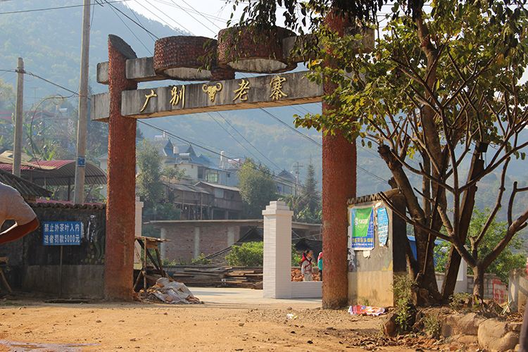 2021年廣別老寨古樹秋茶口感？