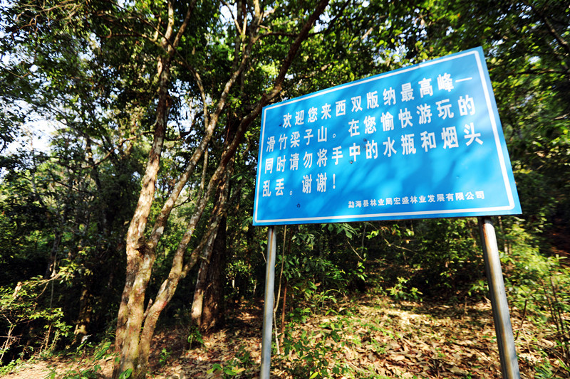 2021年滑竹梁子古樹秋茶價(jià)格？