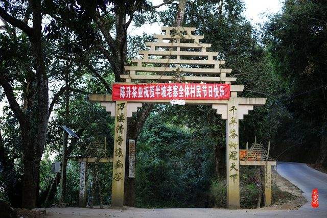 2021年南糯山半坡老寨古樹秋茶價(jià)格？