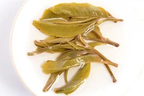 2021年南糯山拔瑪老寨古樹秋茶多少錢一公斤？