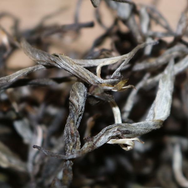 2021年帕沙古樹秋茶，你了解多少？