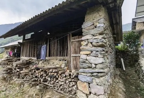 2022年景谷黃草壩古樹春茶特點是什么？