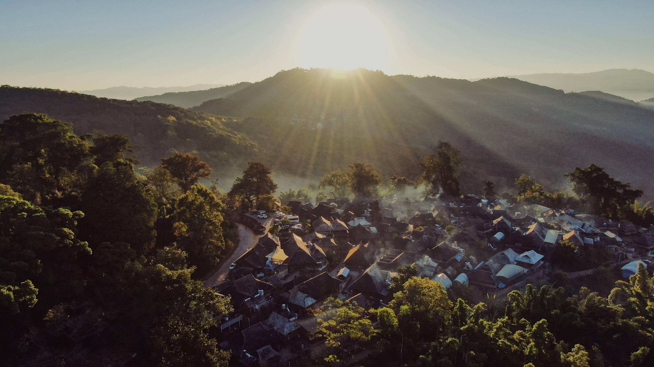 2022年景邁山古樹(shù)春茶特點(diǎn)？