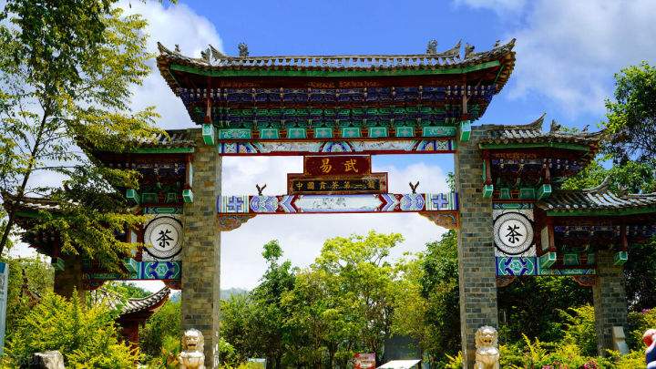 2022年易武正山在哪？易武正山是什么意思？