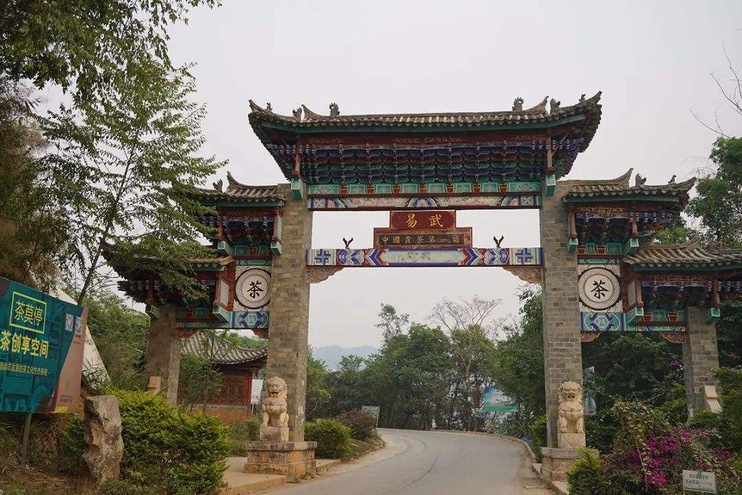 2022年易武正山古樹春茶特點？