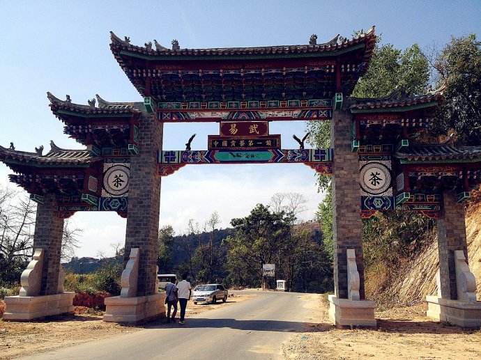 2022年易武正山古樹春茶價格？