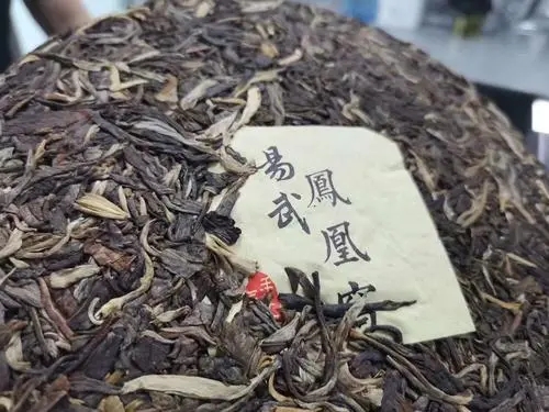 2022年鳳凰窩古樹高桿，鳳凰筑巢的地方