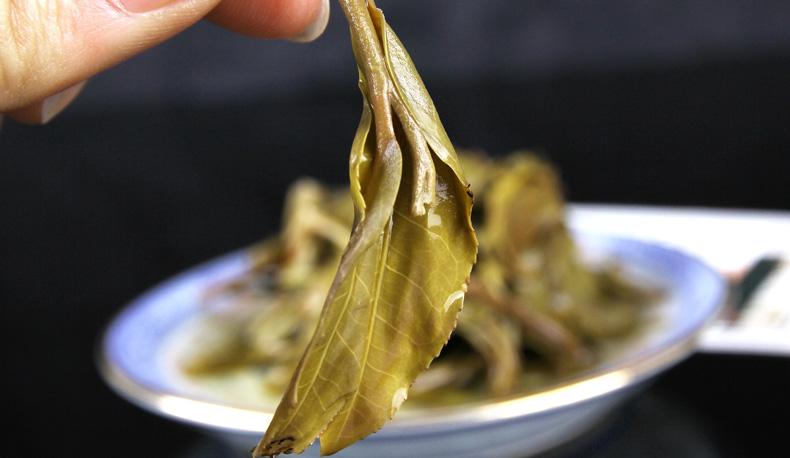 2022年冷水河古樹春茶價格？