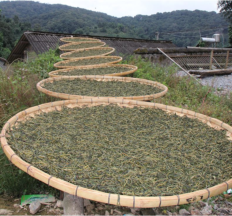 2022年白沙河古樹(shù)春茶價(jià)格？